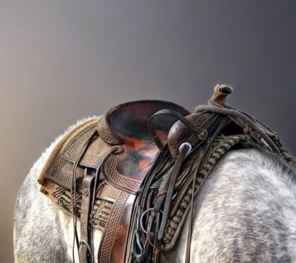 alt="Contact AYRA for premium horse tack and saddlery" alt="Export house specializing in high-quality horse equipment"